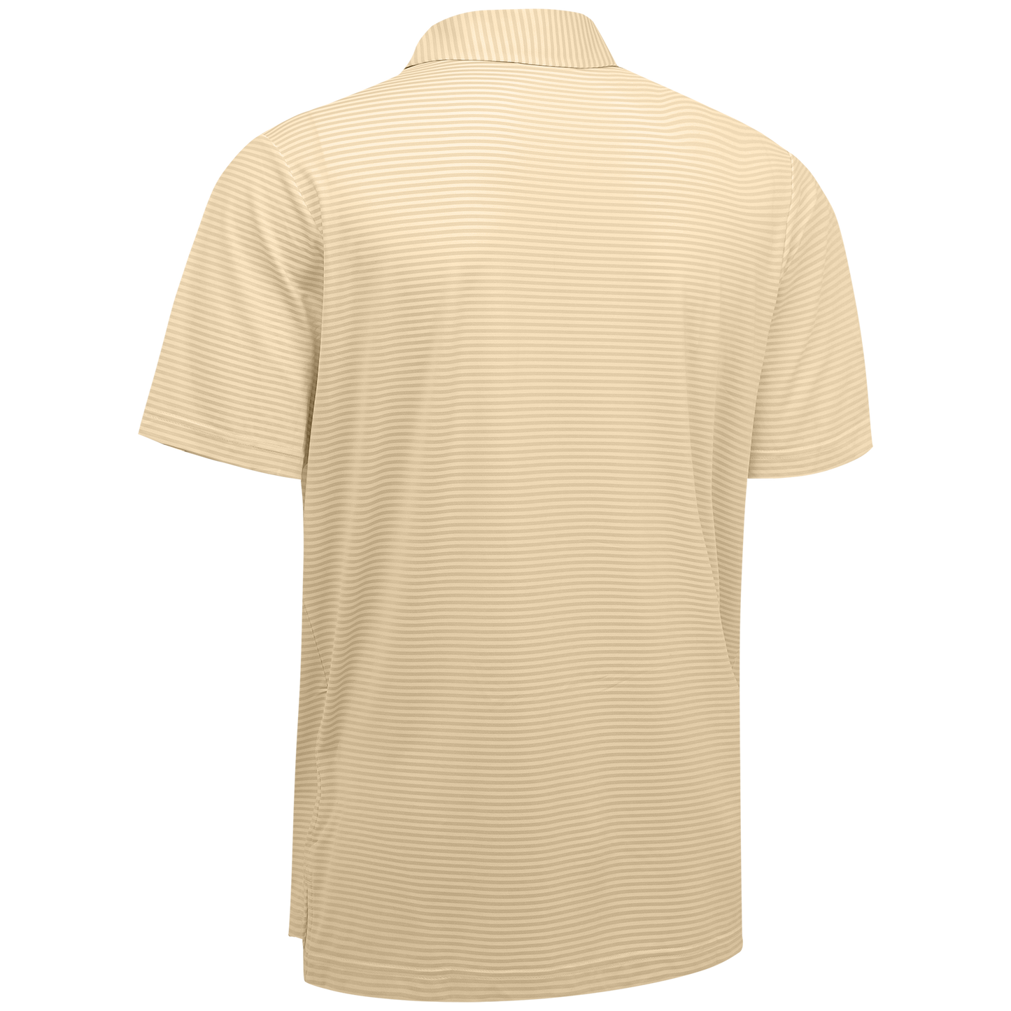 CTN-6