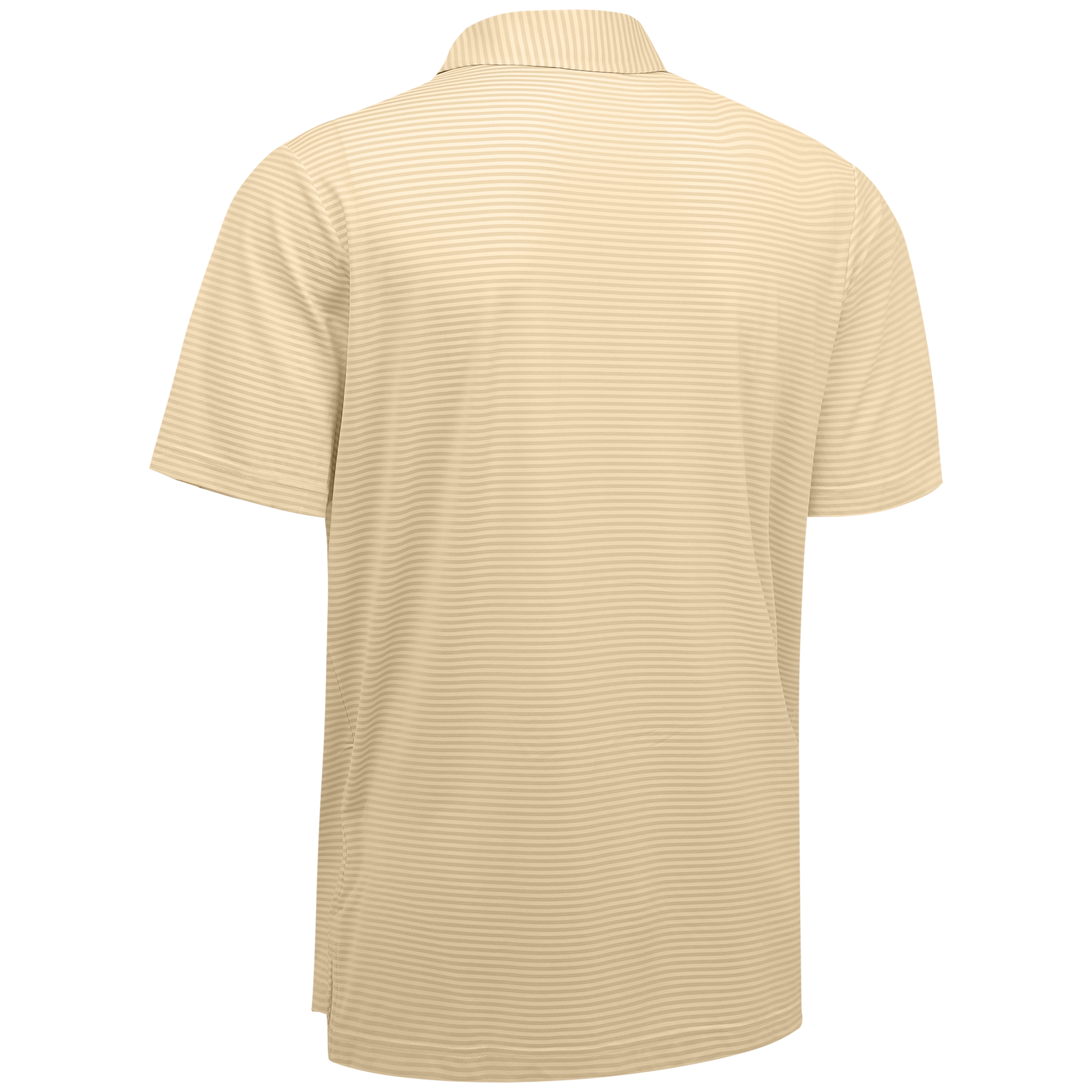 CTN-6