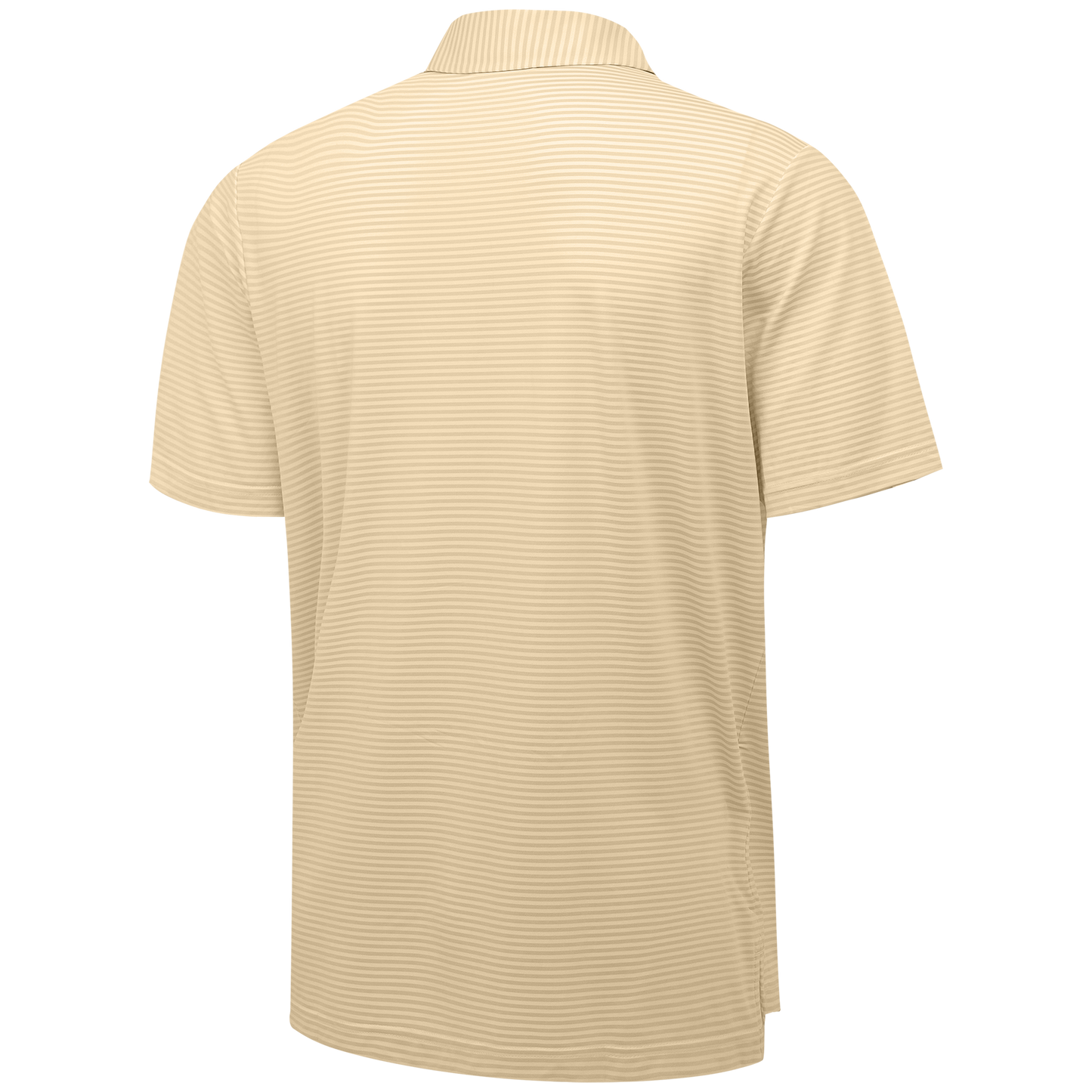 CTN-7